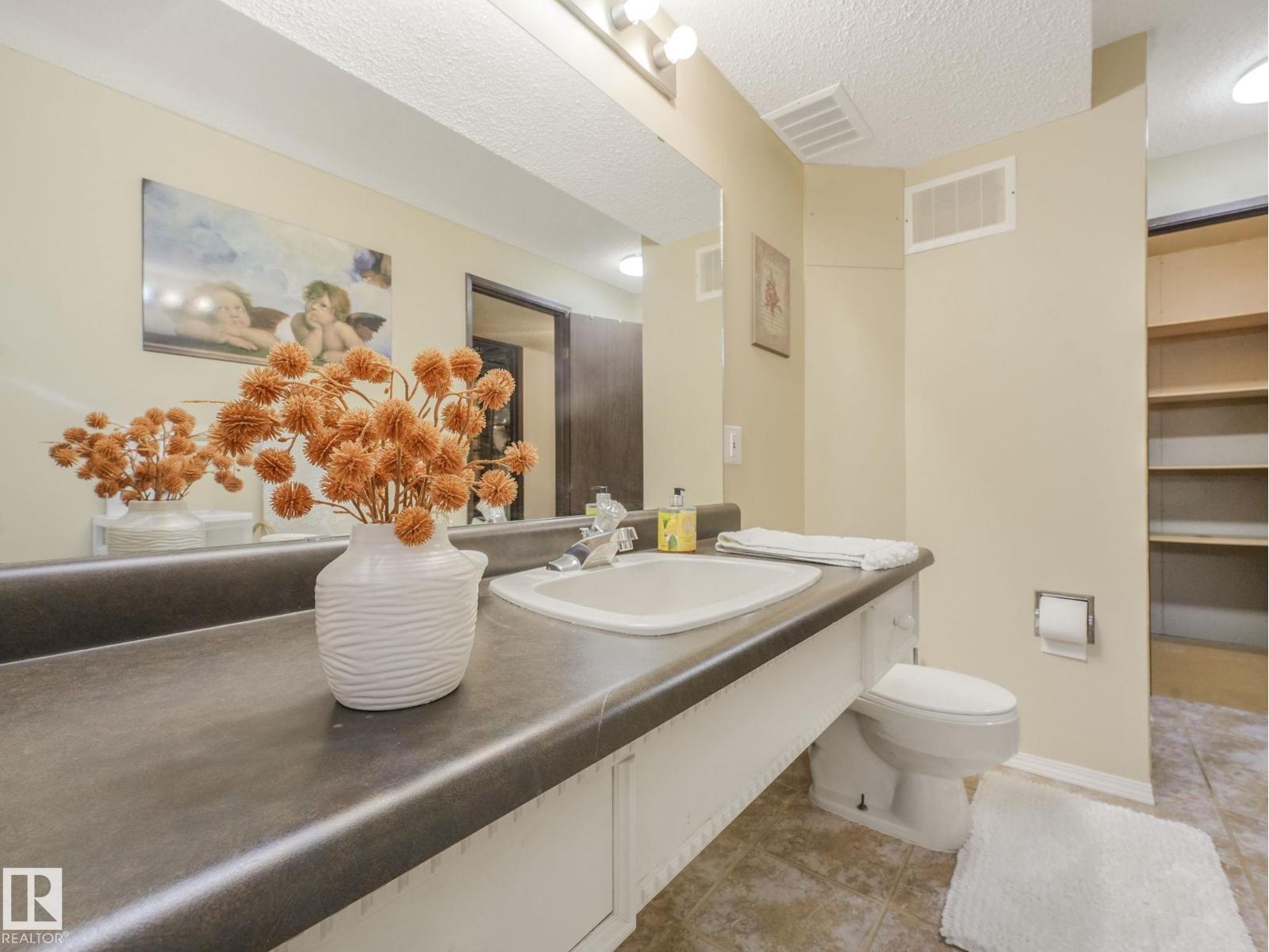 11106 173a Av Nw, Edmonton, Alberta  T5X 3J9 - Photo 19 - E4461293