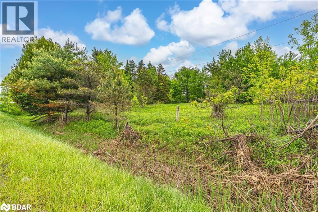 699 Moonstone Road E, Oro-Medonte, Ontario  L0K 1N0 - Photo 3 - 40777615