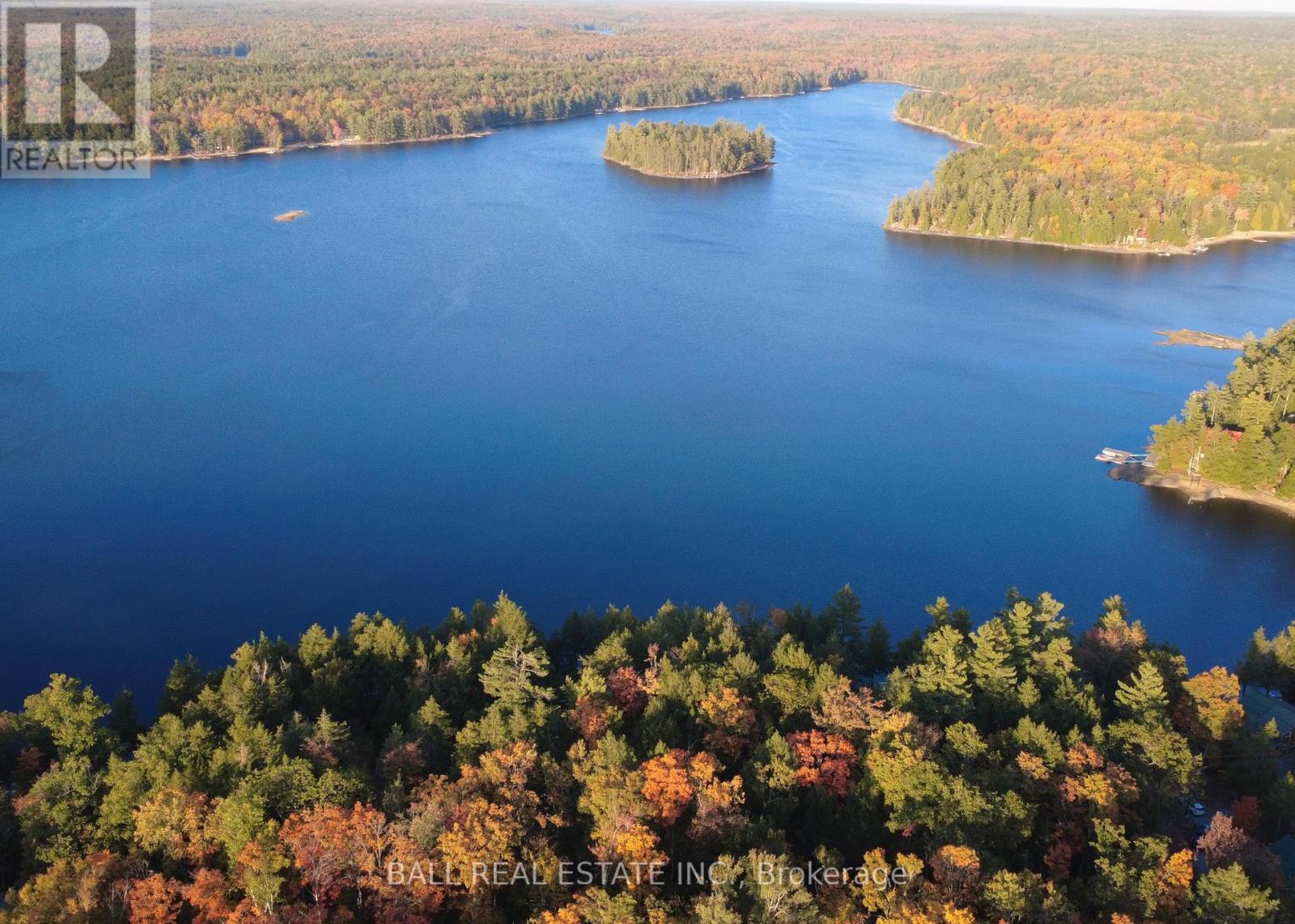133 Fire Route 214, Trent Lakes, Ontario  K0L 1J0 - Photo 8 - X12451421