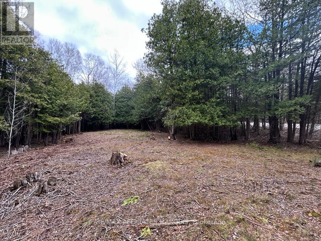 00 Snowdons Corners Road, Merrickville-Wolford, Ontario  K0G 1N0 - Photo 4 - X12375150