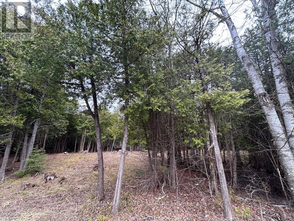 00 Snowdons Corners Road, Merrickville-Wolford, Ontario  K0G 1N0 - Photo 1 - X12375150