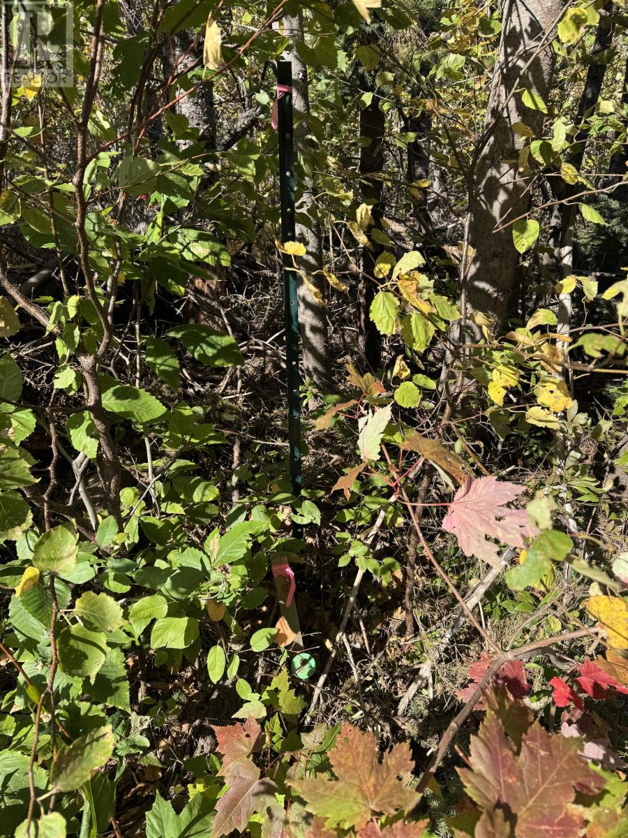 Lot 21-2 Black River Road, West Covehead, Prince Edward Island  C0A 1P0 - Photo 2 - 202525438