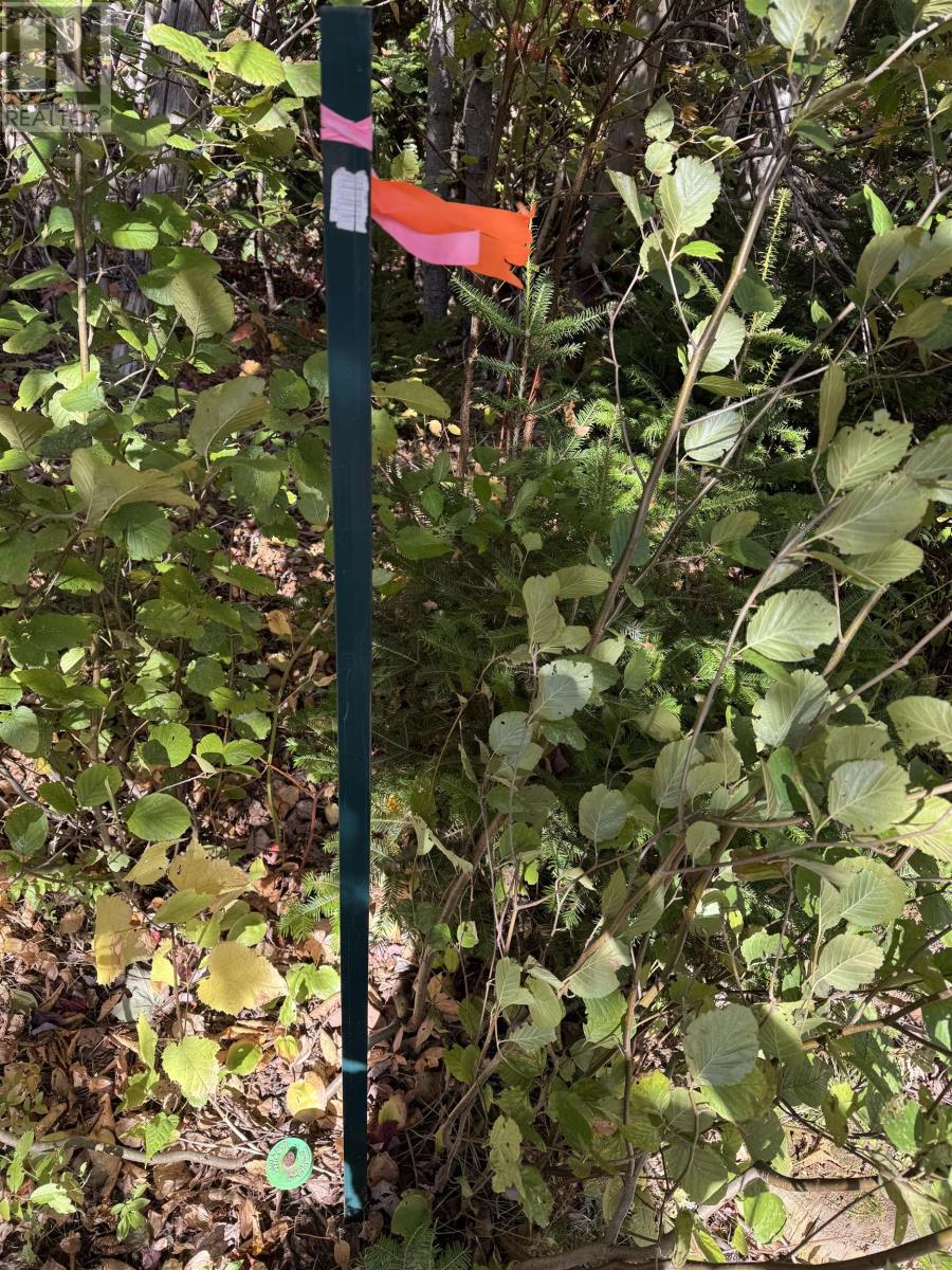 Lot 21-2 Black River Road, West Covehead, Prince Edward Island  C0A 1P0 - Photo 3 - 202525438
