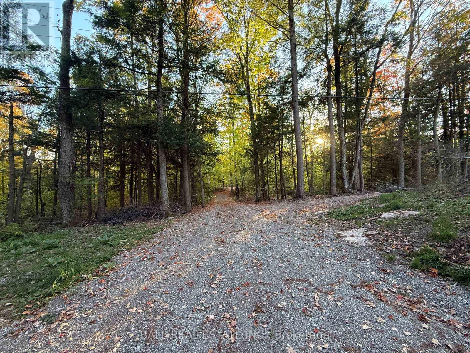 133 Fire Route 214, Trent Lakes, Ontario  K0L 1J0 - Photo 48 - X12451421