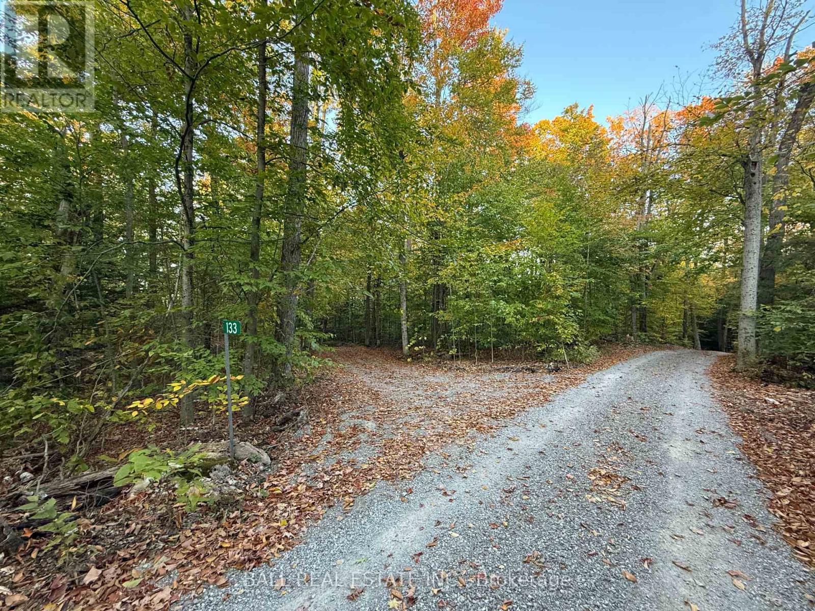 133 Fire Route 214, Trent Lakes, Ontario  K0L 1J0 - Photo 49 - X12451421