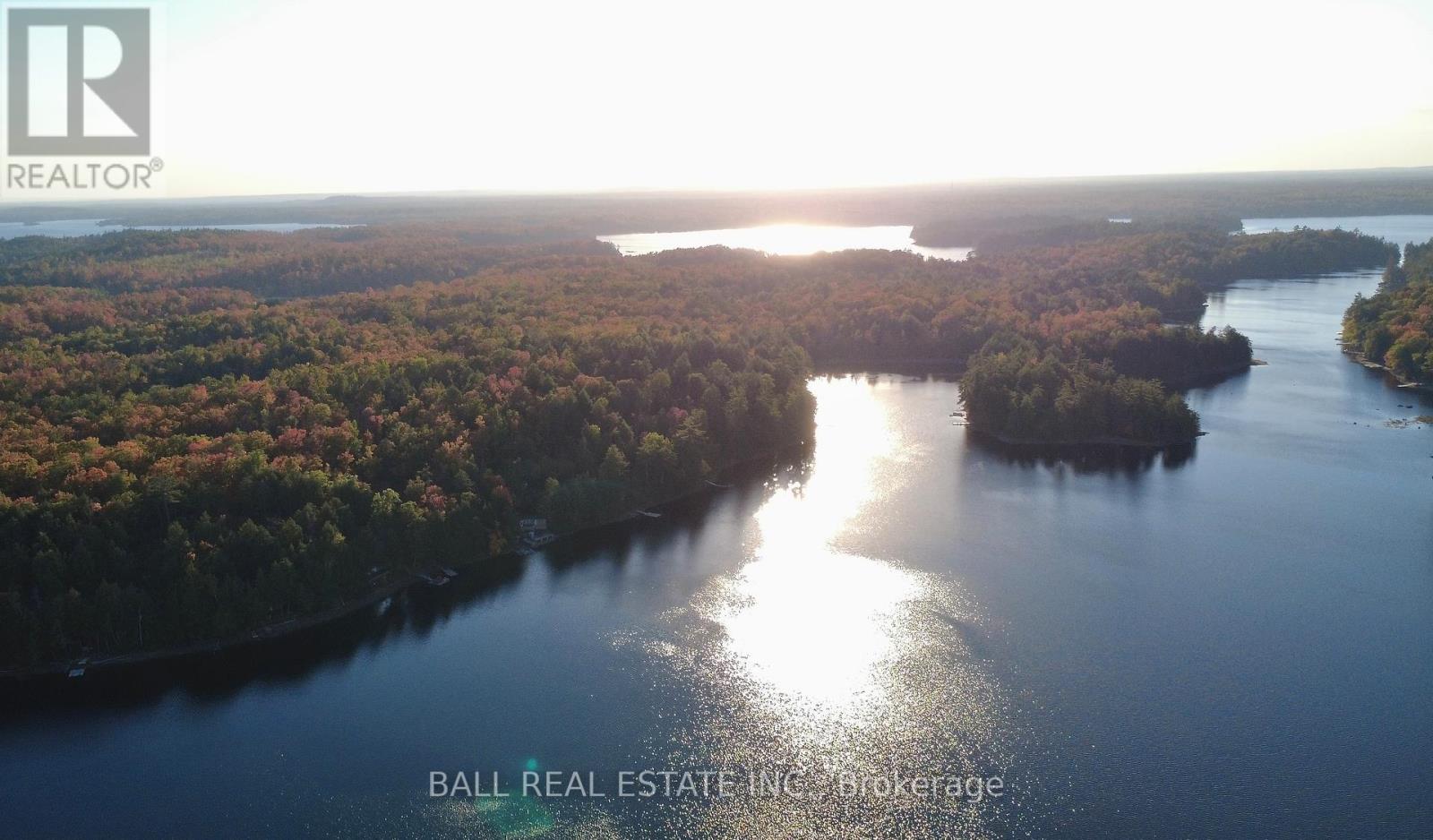 133 Fire Route 214, Trent Lakes, Ontario  K0L 1J0 - Photo 44 - X12451421