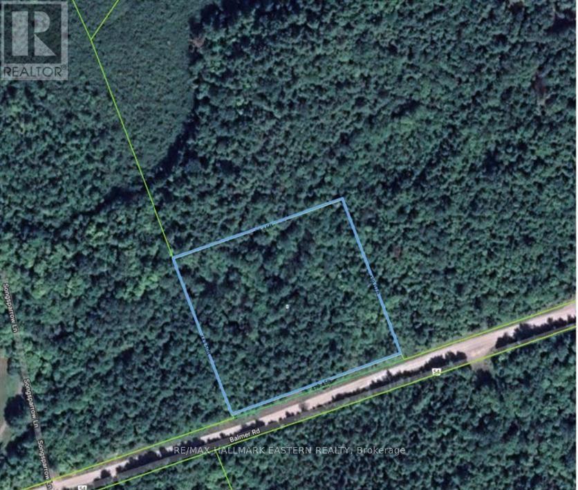 942 Balmer Road, North Kawartha, Ontario  K0L 1A0 - Photo 11 - X12452171
