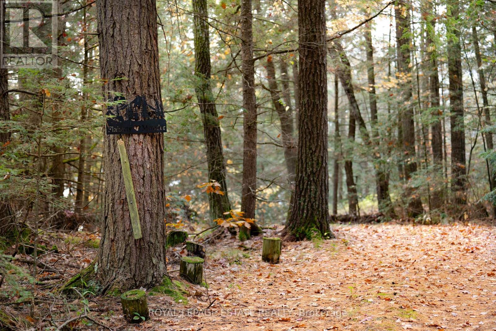 329 Fire Route 247 Road, North Kawartha, Ontario  K0L 1A0 - Photo 33 - X12452153