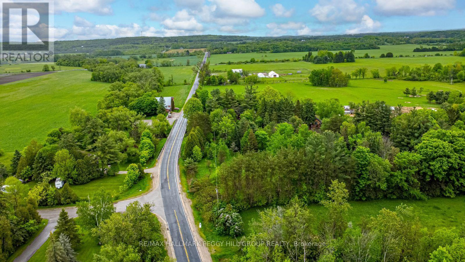 699 Moonstone Road E, Oro-Medonte, Ontario  L0K 1N0 - Photo 10 - S12452205