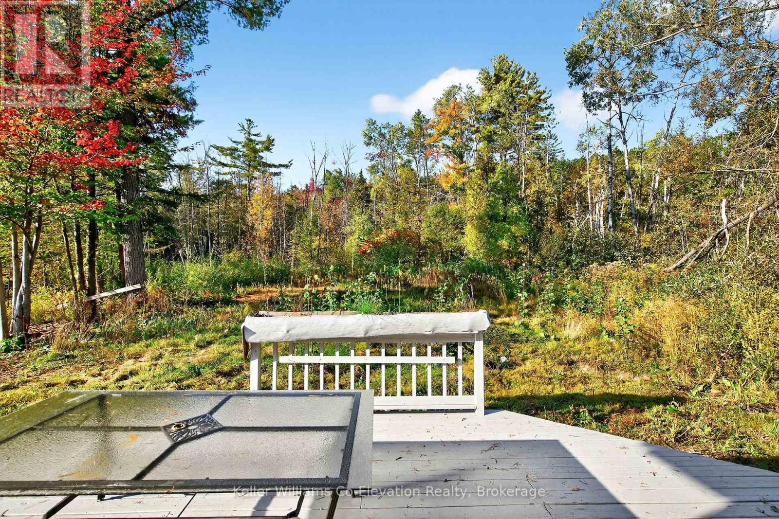 556 Champlain Road, Tiny, Ontario  L9M 0C2 - Photo 19 - S12452331