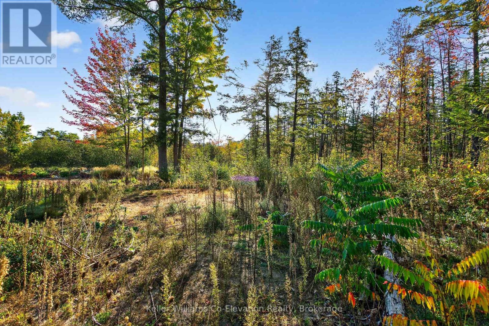 556 Champlain Road, Tiny, Ontario  L9M 0C2 - Photo 21 - S12452331