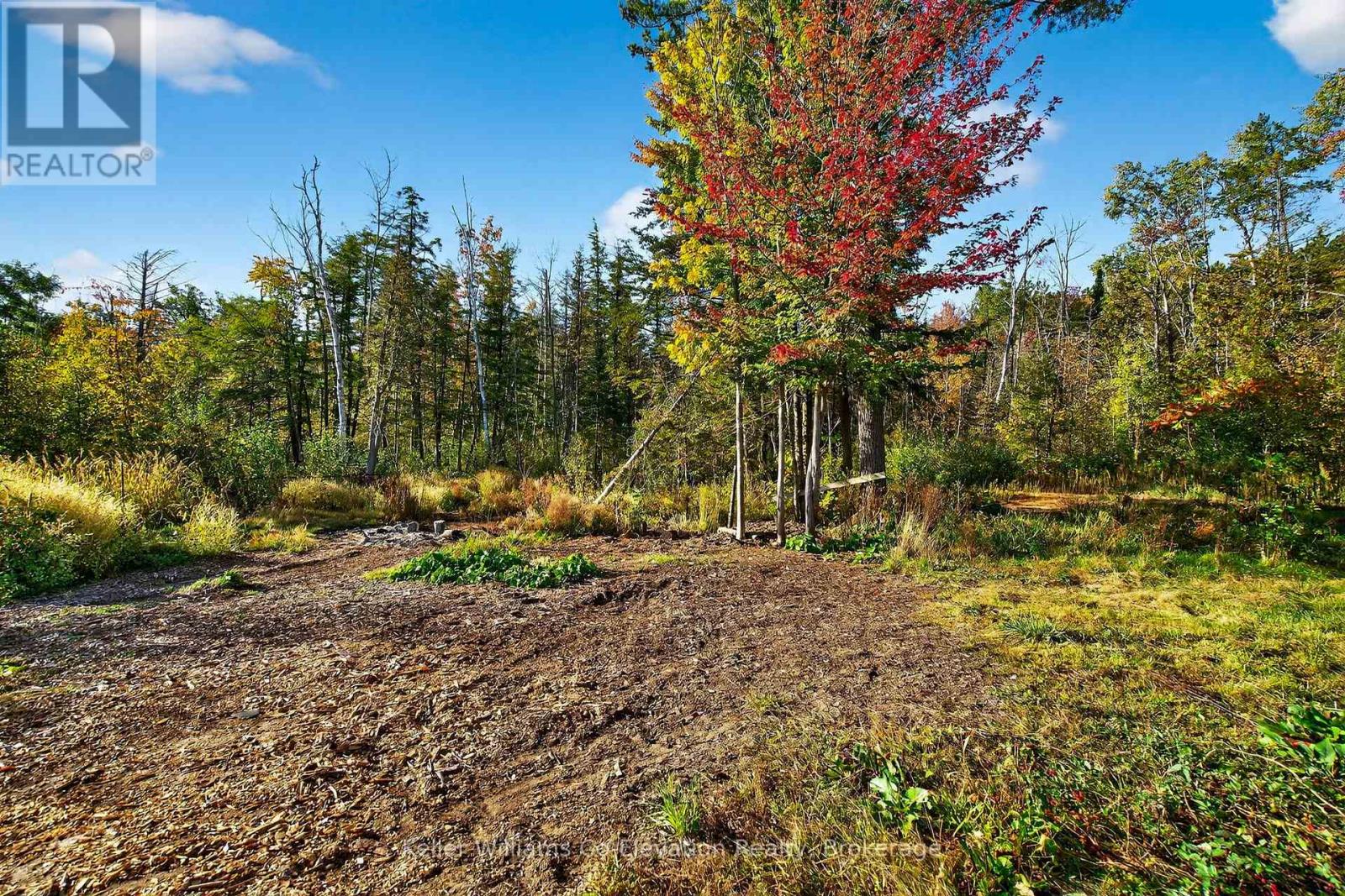 556 Champlain Road, Tiny, Ontario  L9M 0C2 - Photo 22 - S12452331