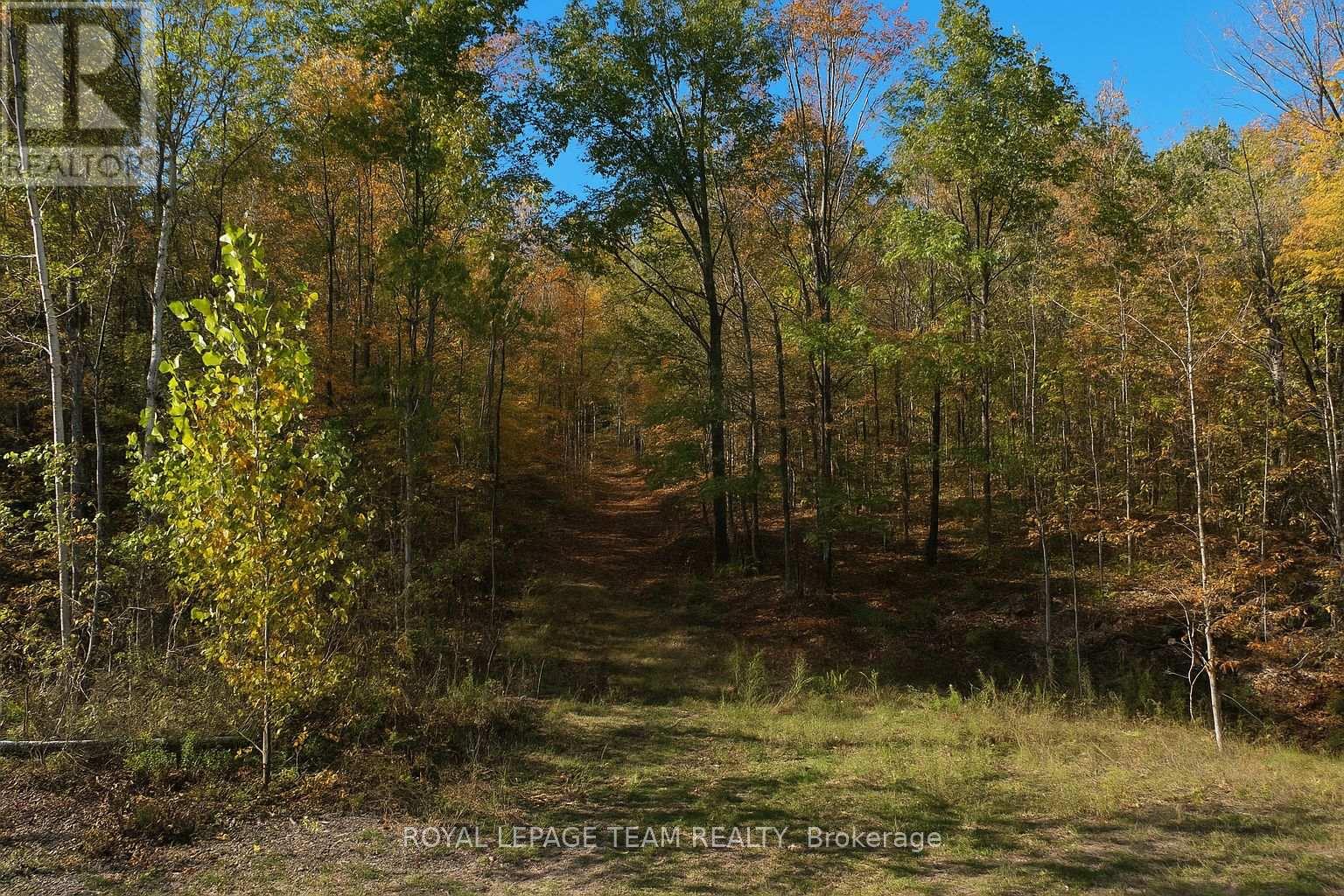 00 Maple Lane, Tay Valley, Ontario  K0H 2B0 - Photo 1 - X12346038