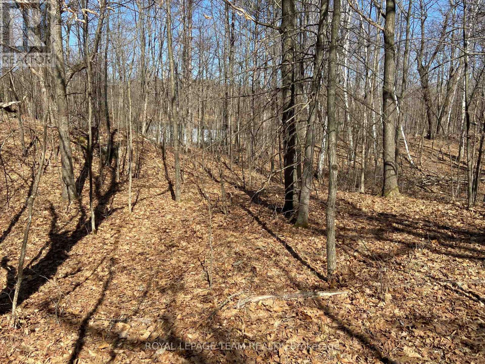00 Maple Lane, Tay Valley, Ontario  K0H 2B0 - Photo 15 - X12346038