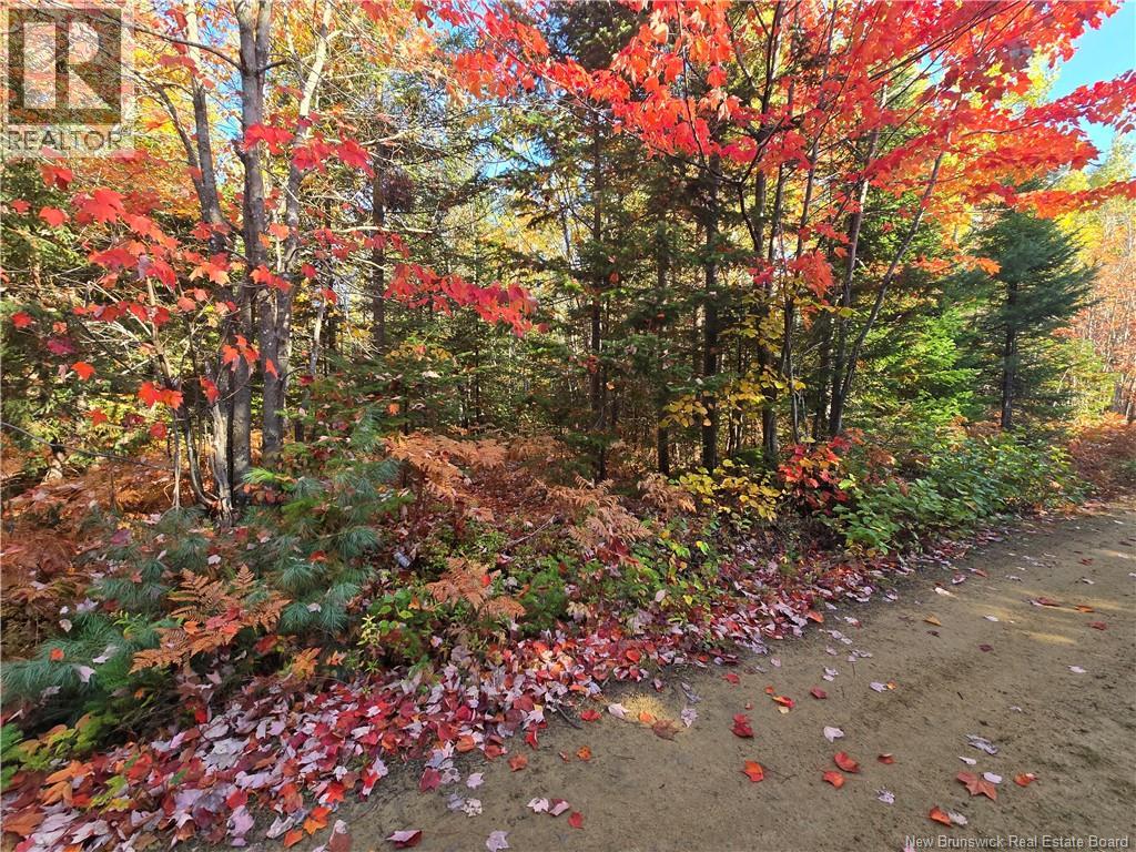 28 acres rue des Fondateurs, Petit-Paquetville, New Brunswick