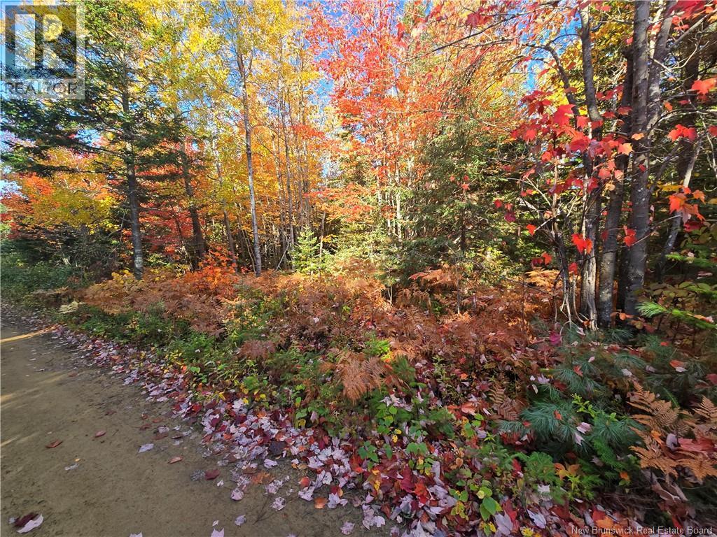 28 Acres Rue Des Fondateurs, Petit-Paquetville, New Brunswick  E8R 1B3 - Photo 2 - NB128142