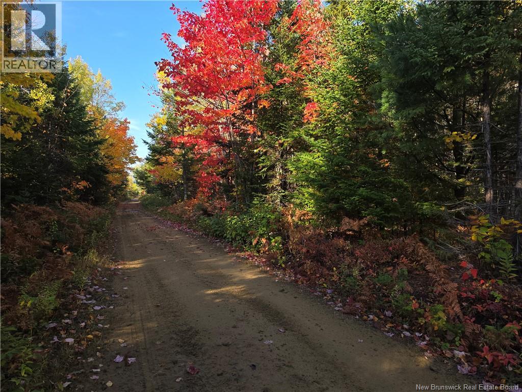 28 Acres Rue Des Fondateurs, Petit-Paquetville, New Brunswick  E8R 1B3 - Photo 3 - NB128142