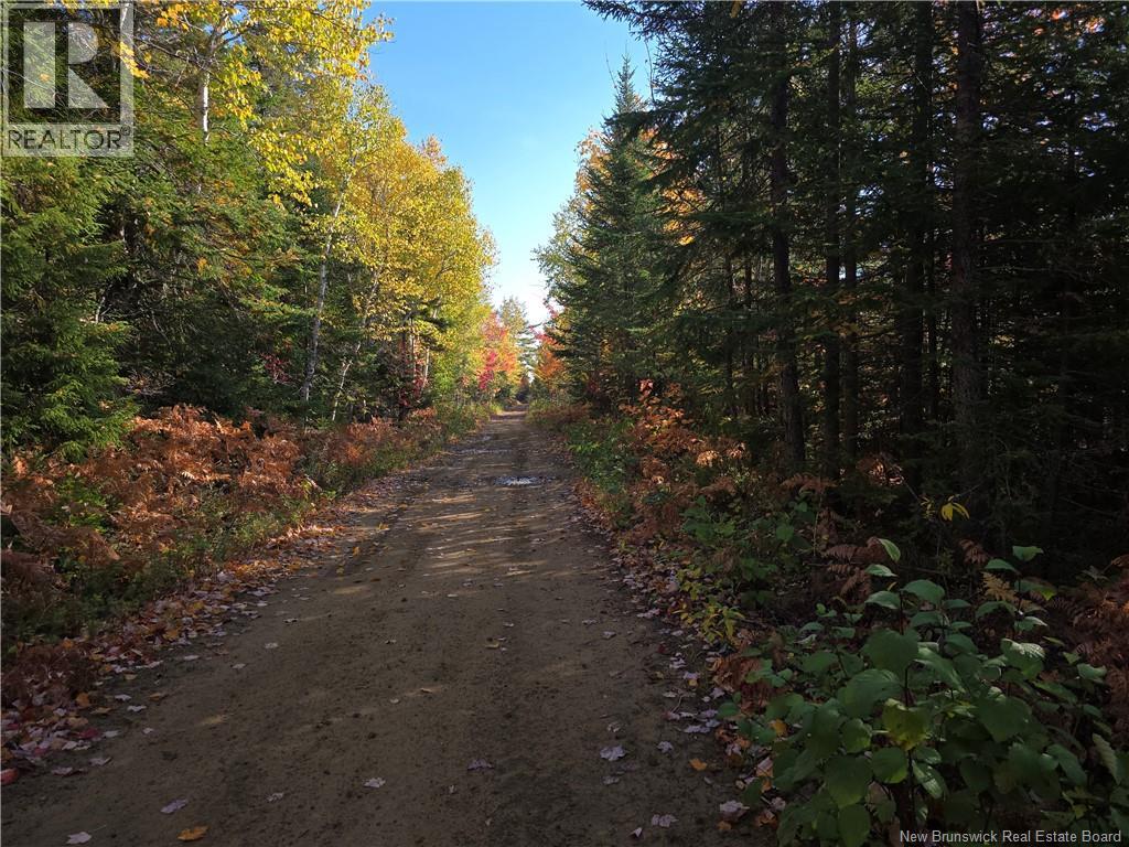 28 Acres Rue Des Fondateurs, Petit-Paquetville, New Brunswick  E8R 1B3 - Photo 4 - NB128142