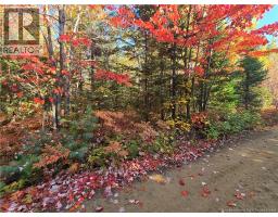 28 acres rue des Fondateurs, petit-paquetville, New Brunswick