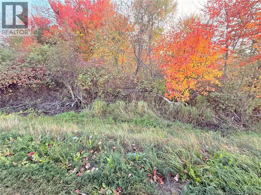 Lot Route 117, Escuminac, New Brunswick  E8A 1R5 - Photo 6 - NB128153