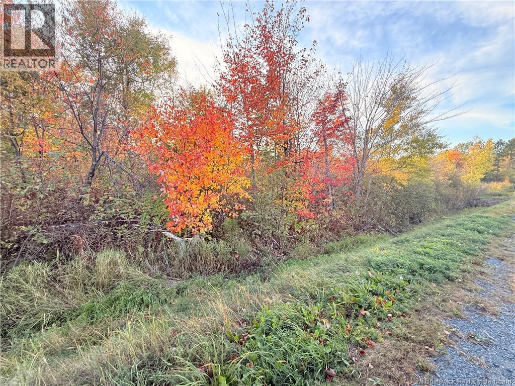 Lot Route 117, Escuminac, New Brunswick  E8A 1R5 - Photo 7 - NB128153
