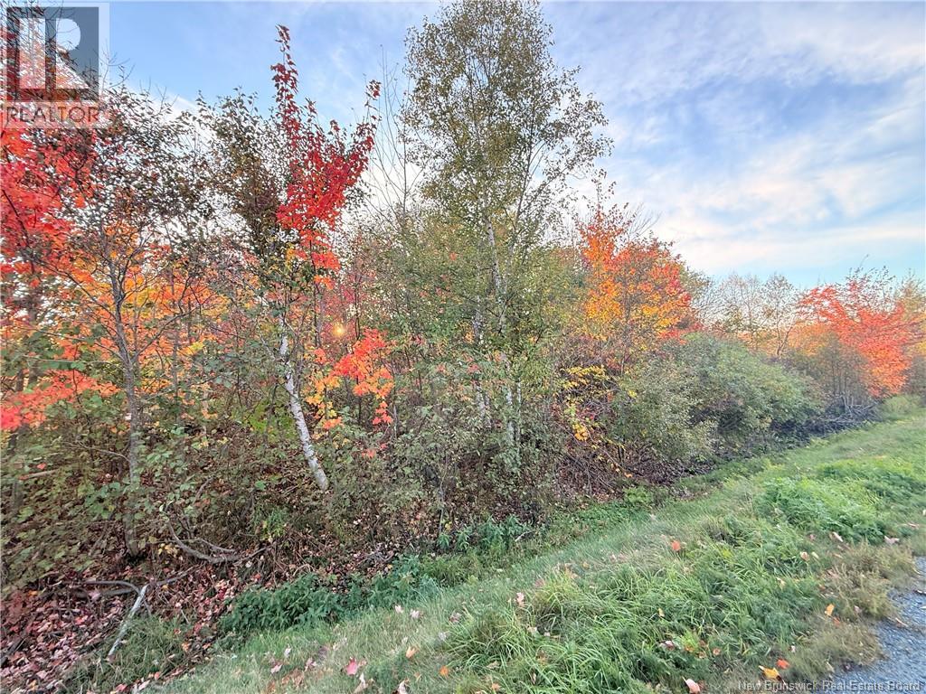 Lot Route 117, Escuminac, New Brunswick  E8A 1R5 - Photo 3 - NB128153