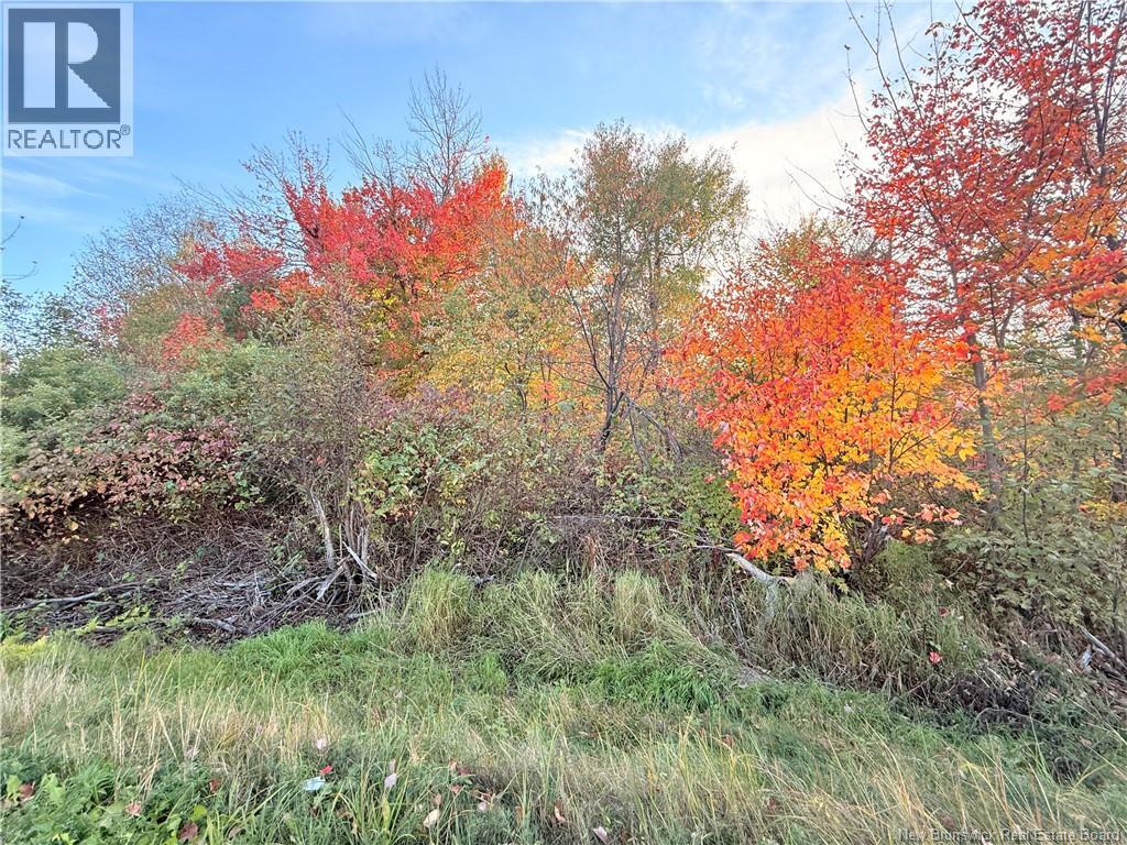 Lot Route 117, Escuminac, New Brunswick  E8A 1R5 - Photo 5 - NB128153