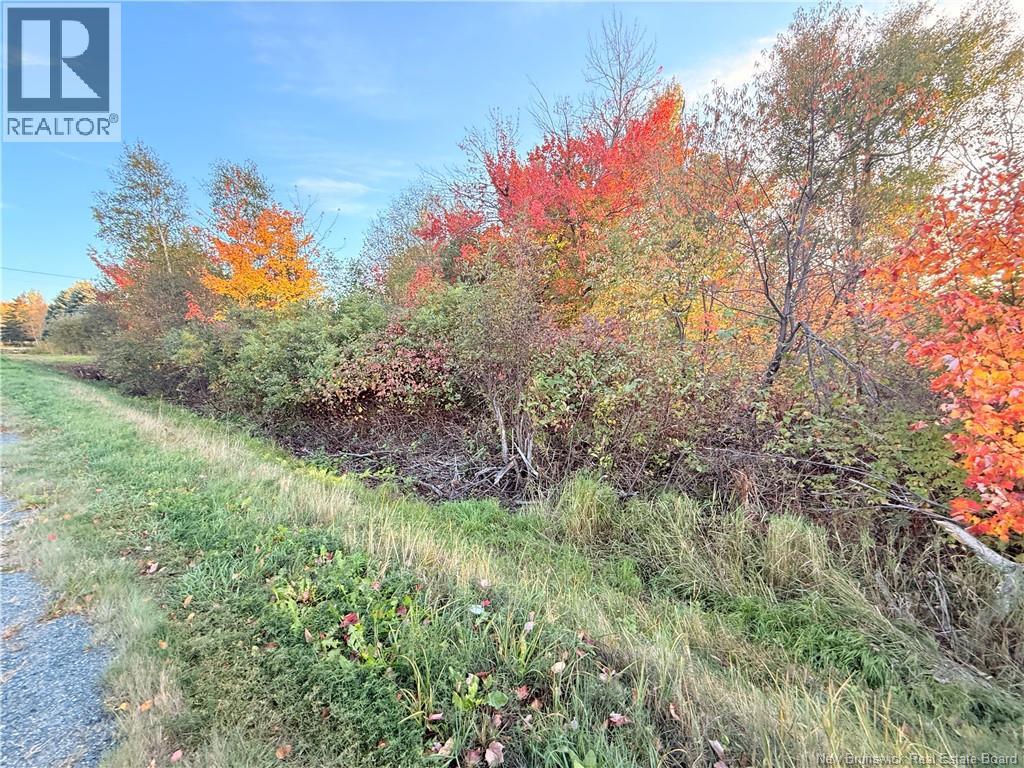 Lot Route 117, Escuminac, New Brunswick  E8A 1R5 - Photo 8 - NB128153