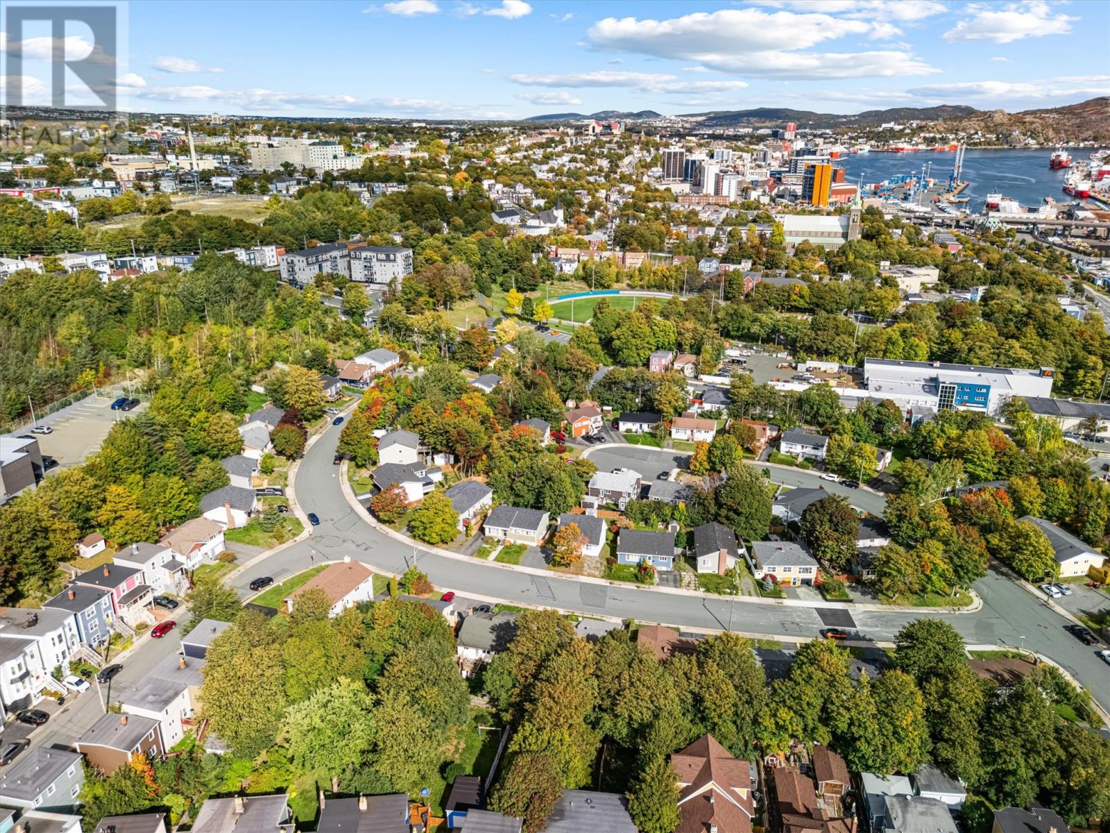17 Brownrigg Place, St. John's, Newfoundland & Labrador  A1E 2V4 - Photo 6 - 1291048