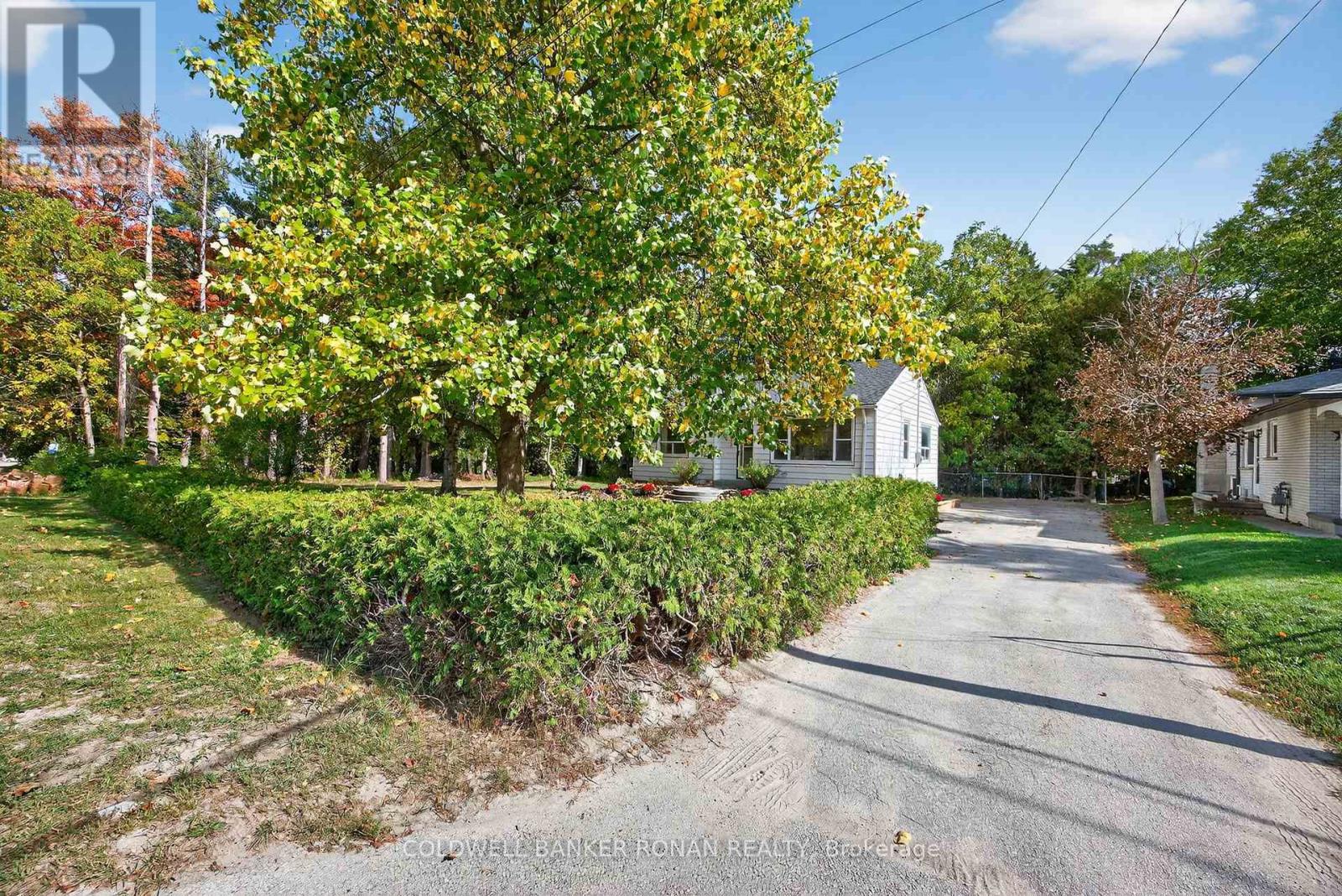 223 Louisa Street, Clearview, Ontario  L0M 1S0 - Photo 2 - S12452249