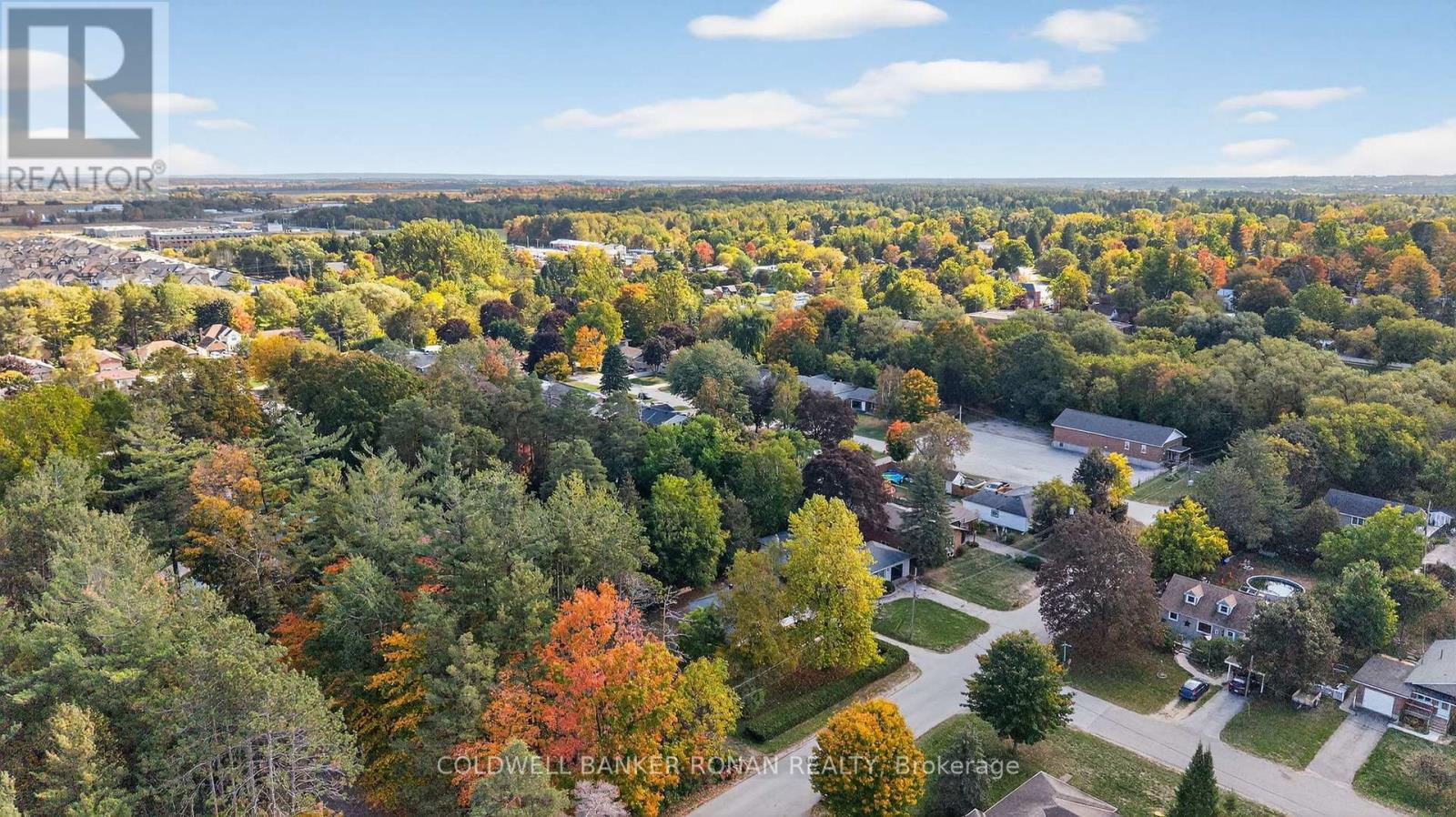 223 Louisa Street, Clearview, Ontario  L0M 1S0 - Photo 34 - S12452249