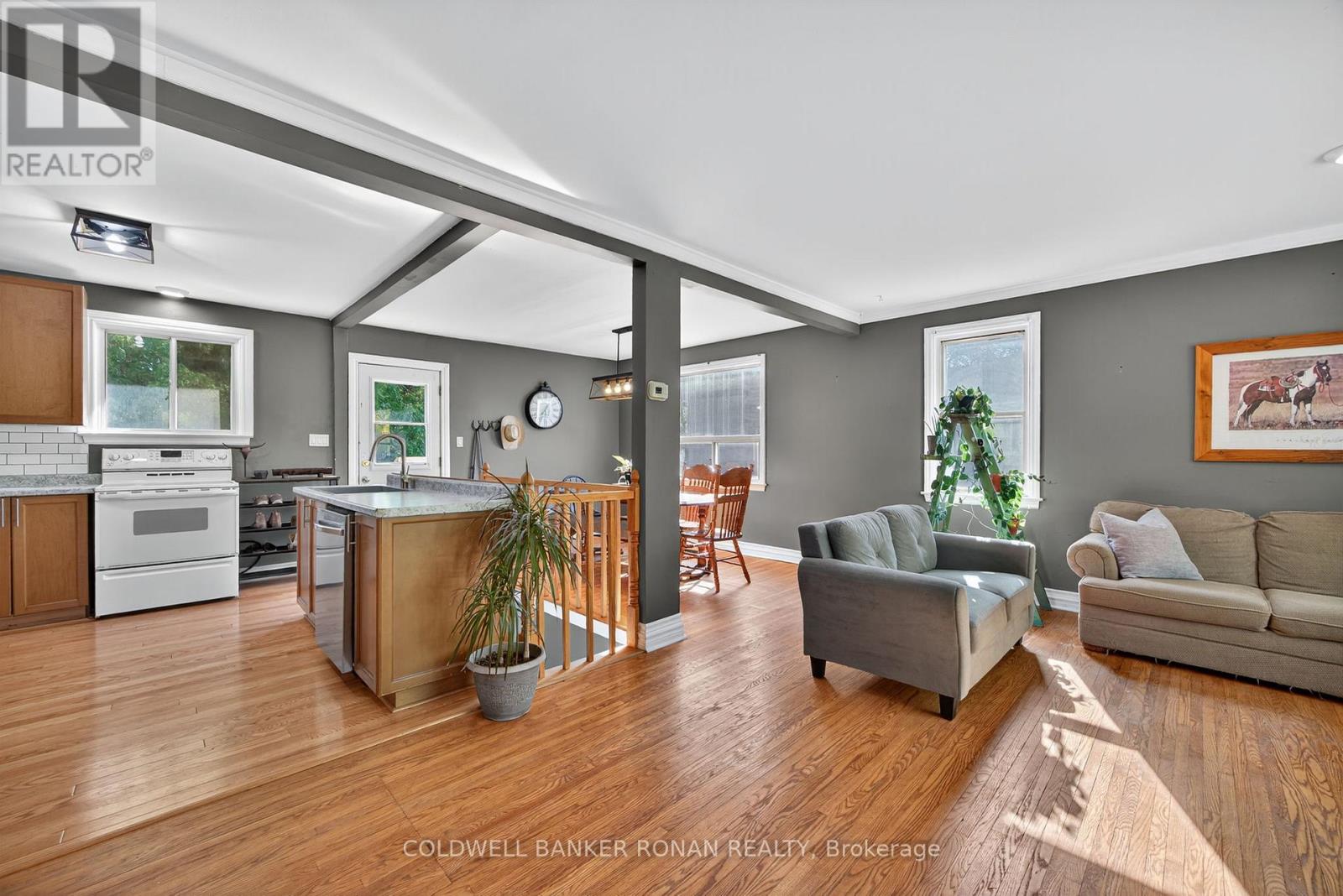 223 Louisa Street, Clearview, Ontario  L0M 1S0 - Photo 8 - S12452249