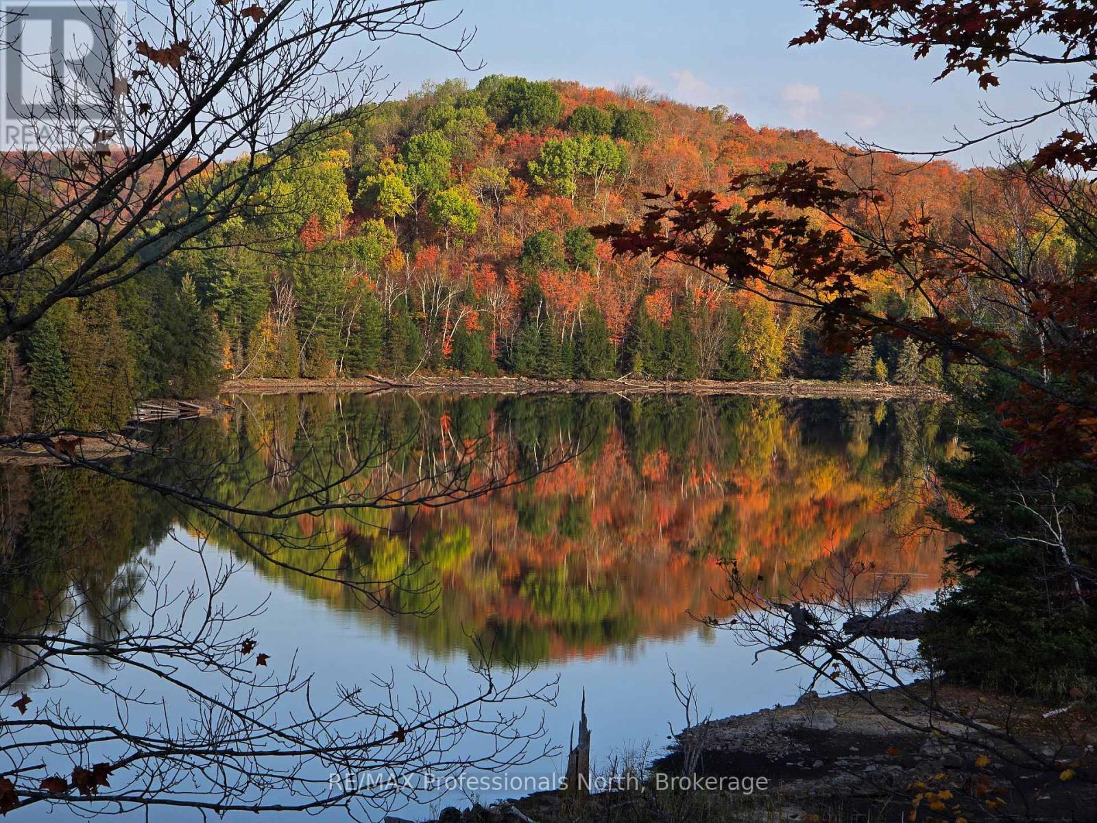 1943 Essonville Line, Highlands East (Monmouth), Ontario  K0L 2Y0 - Photo 2 - X12452390