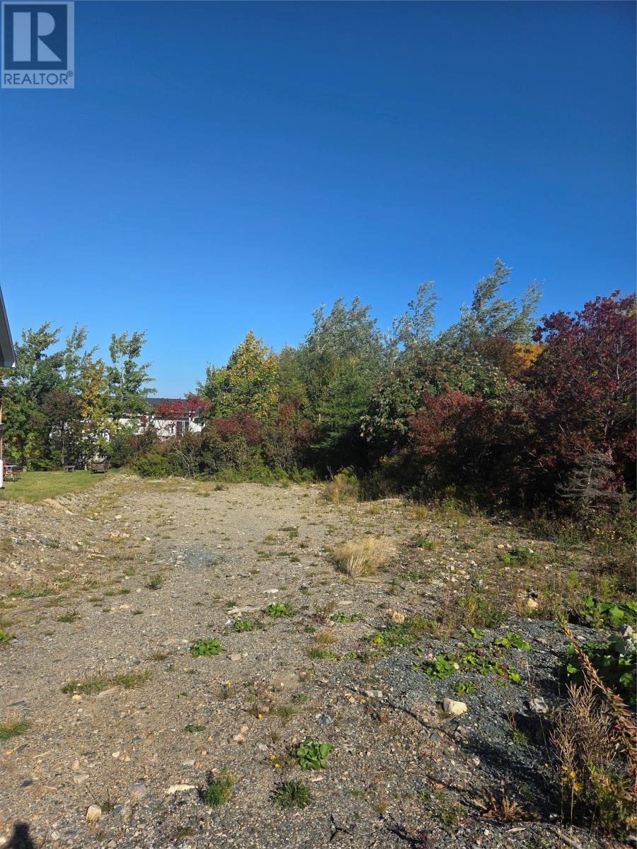 79 Oaken Drive, Conception Bay South, Newfoundland & Labrador  A1X 6X4 - Photo 3 - 1291349
