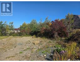 79 Oaken Drive, Conception Bay South, Newfoundland & Labrador