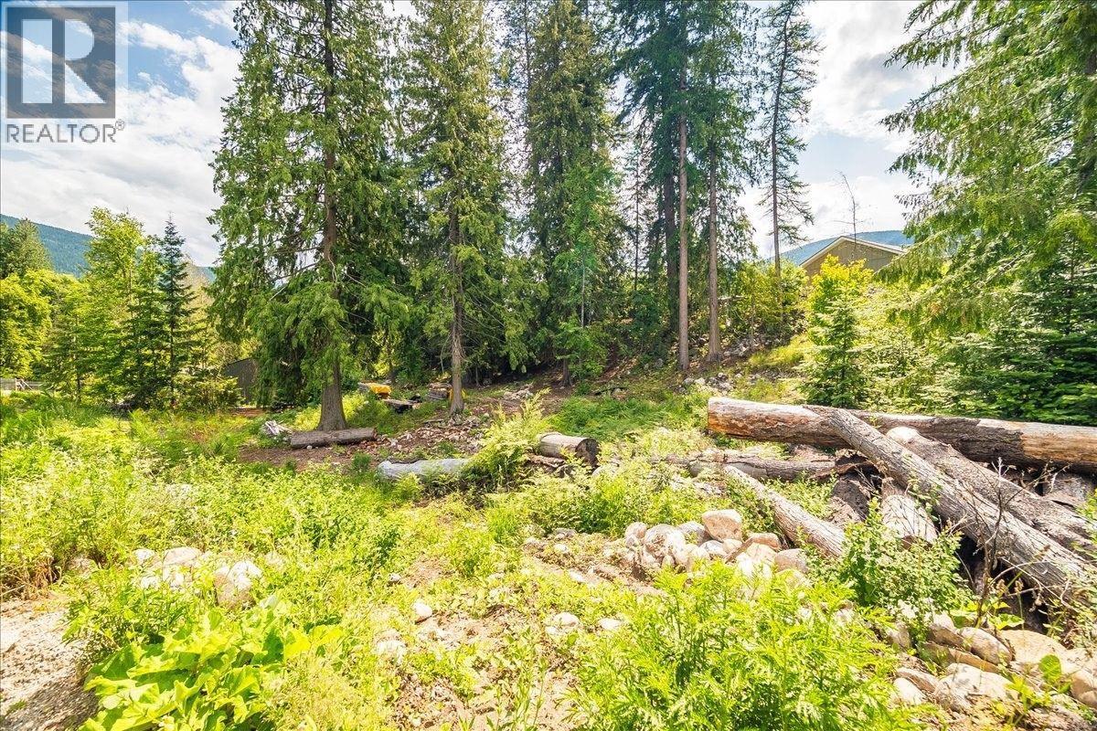 2801 Harlow Road, Nelson, British Columbia  V1L 6L3 - Photo 90 - 10350734