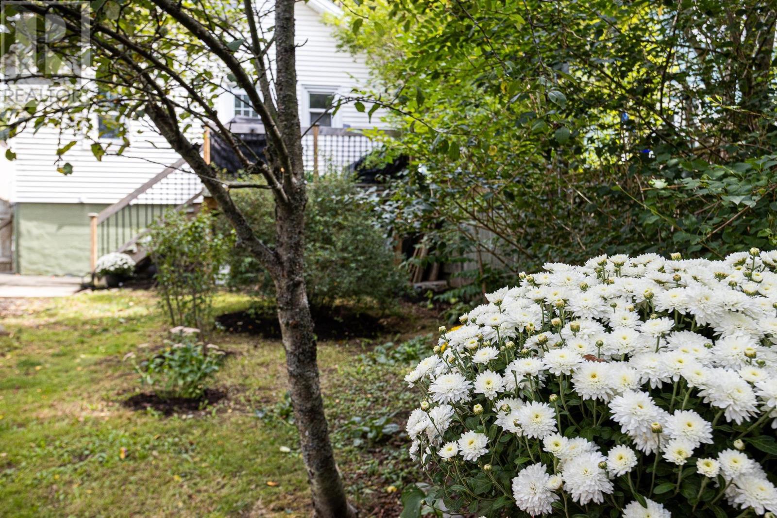 2578 Poplar Street, Halifax, Nova Scotia  B3L 2Y8 - Photo 44 - 202523031