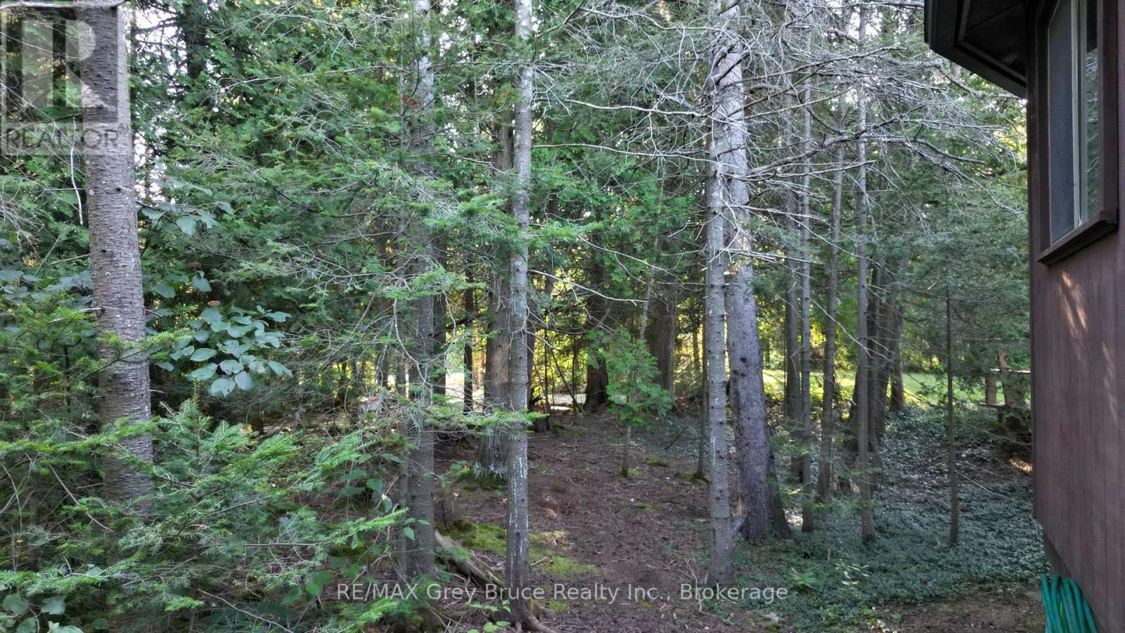 8 Carter Road, Northern Bruce Peninsula, Ontario  N0H 1W0 - Photo 37 - X12452562