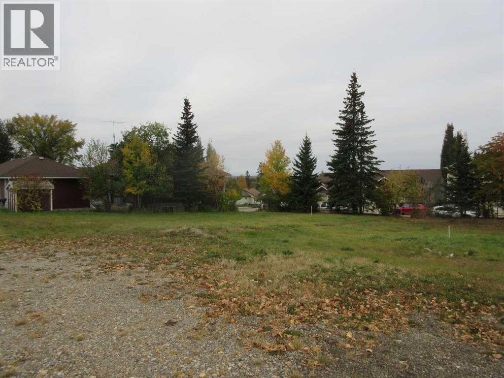 5137 52 Street, Rocky Mountain House, Alberta  T4T 1E3 - Photo 10 - A2262783