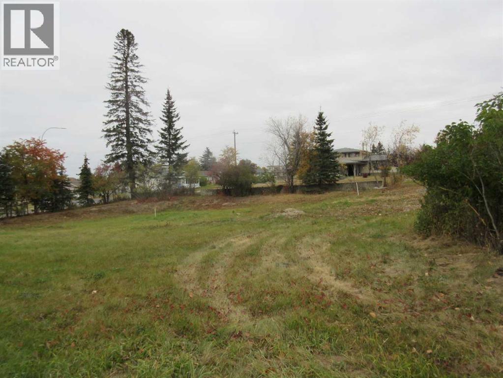 5137 52 Street, Rocky Mountain House, Alberta  T4T 1E3 - Photo 7 - A2262783