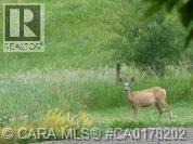 29, 420069 Range Road 284, Rural Ponoka County, Alberta  T4J 1R3 - Photo 2 - A2263211