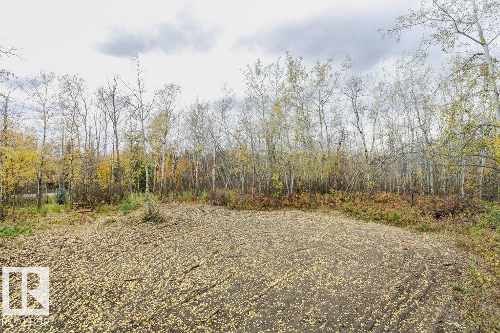 2 52245 Rge Rd 225, Rural Strathcona County, Alberta  T8C 1C6 - Photo 31 - E4461352