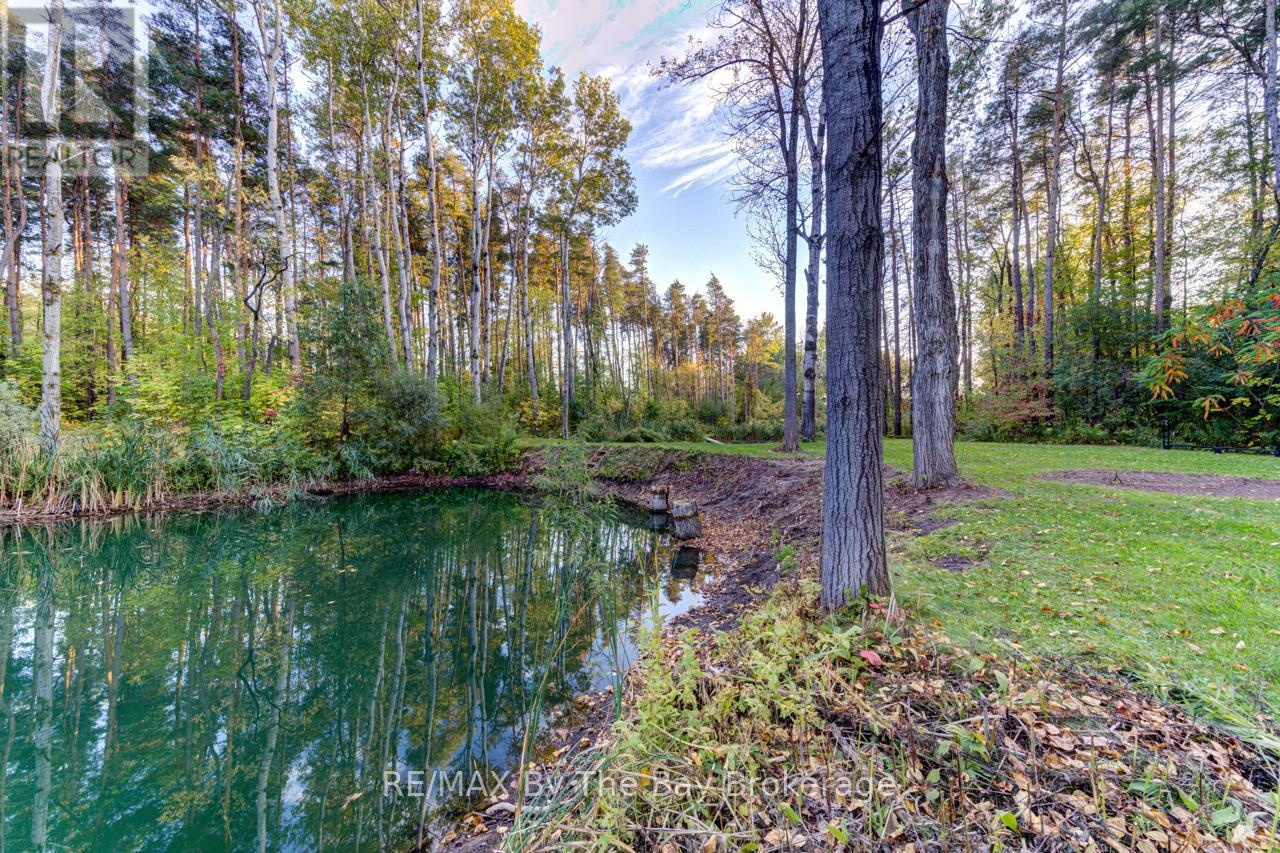 7881 Poplar Road, Clearview, Ontario  L9Y 5N4 - Photo 41 - S12452609