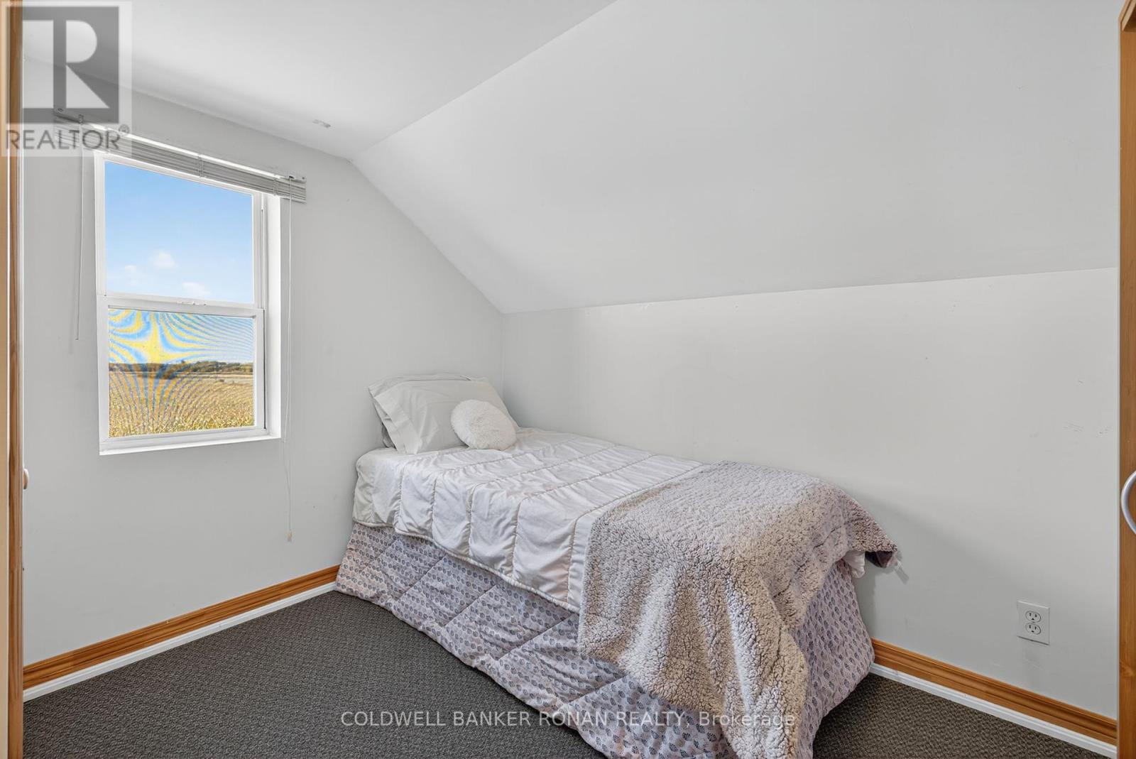 5185 10th Line, New Tecumseth, Ontario  L0G 1A0 - Photo 20 - N12452442