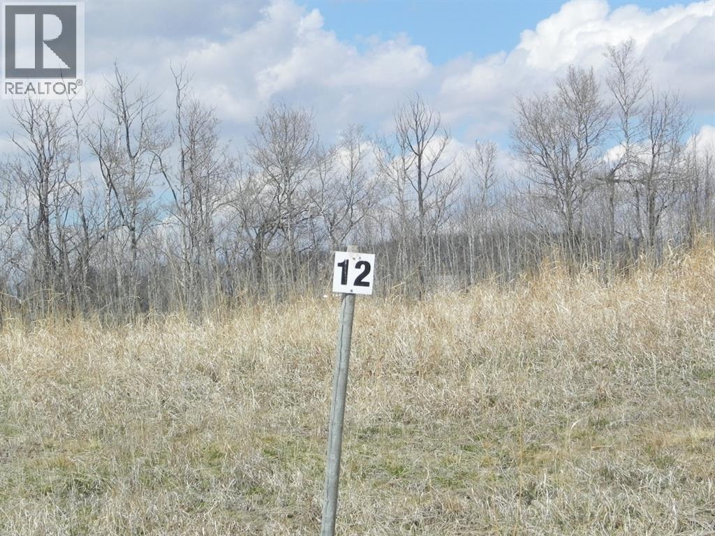 12, 420069 Range Road 284, Rural Ponoka County, Alberta  T4J 1R3 - Photo 2 - A2263216
