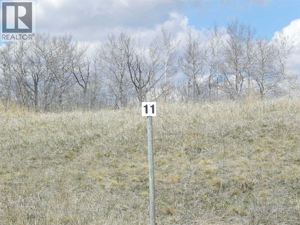 11, 420069 Range Road 284, Rural Ponoka County, Alberta  T4J 1R3 - Photo 4 - A2263225