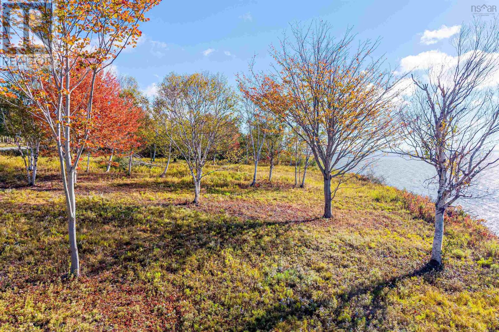 Lot 4 Highway 2, Upper Economy, Nova Scotia  B0M 1B0 - Photo 21 - 202518531