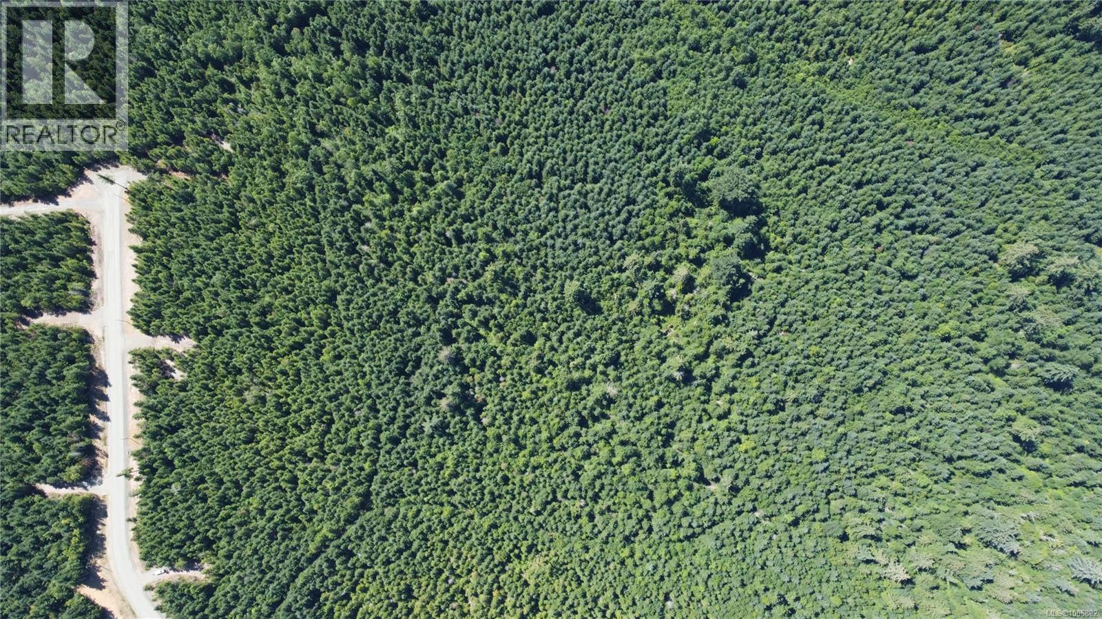 Lot 106 Pratt Rd, Hilliers, British Columbia  V0R 0B9 - Photo 6 - 1006882