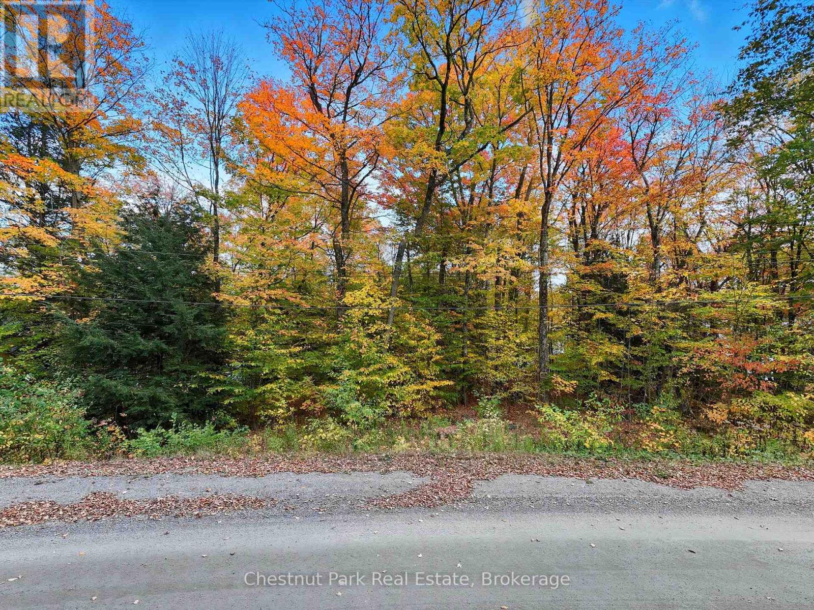 0 North Menominee Lake Road, Lake Of Bays (Mclean), Ontario  P0B 1A0 - Photo 12 - X12452664