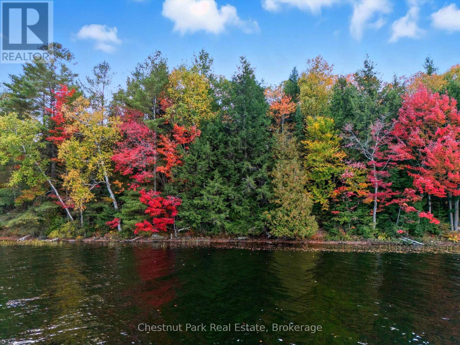 0 North Menominee Lake Road, Lake Of Bays (Mclean), Ontario  P0B 1A0 - Photo 7 - X12452664